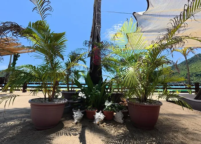Kubotique Beachfront Staycation